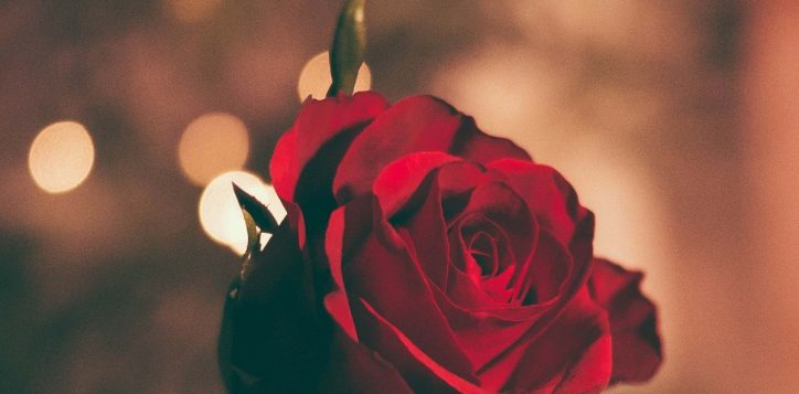 valentines-day-dinner-2