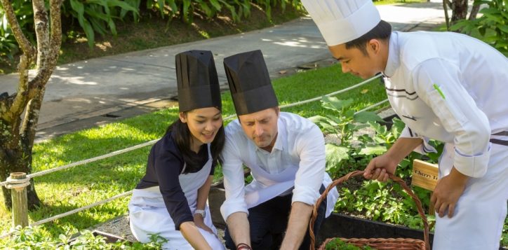 herb-garden-planet-21-2