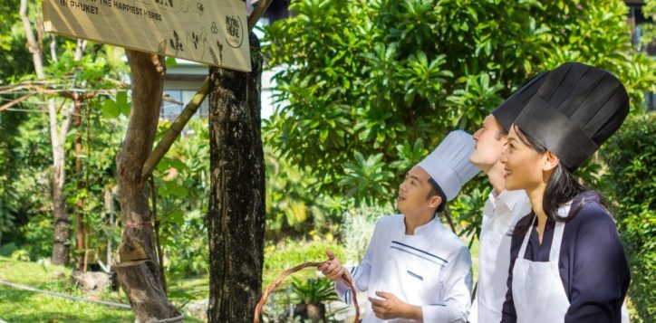 herb-garden-planet21-2