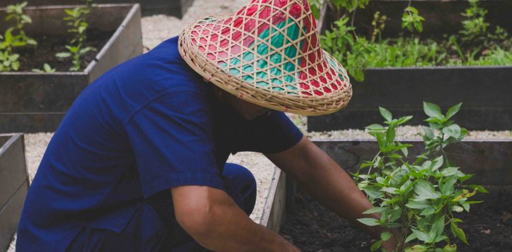 accorhotels-planet-212-2