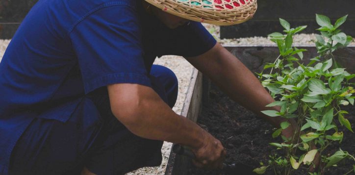 accorhotels-planet-214-2