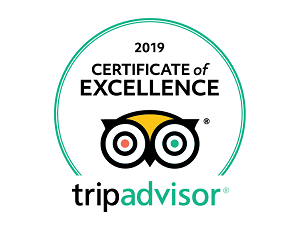 vero-certificate-of-excellence-2019-2