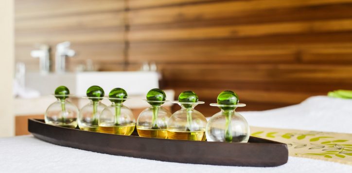 dhatri-spa-treatment-2