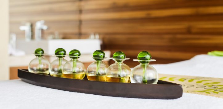 dhatri-spa-treatment1-2