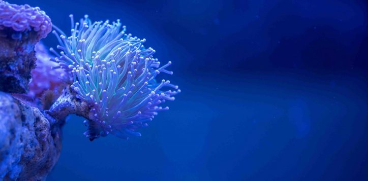 central-phuket-aquarium-2-2