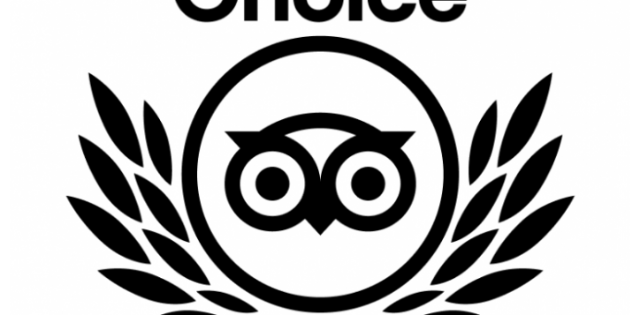 tc_2021_botb_l_white_bg_rgb