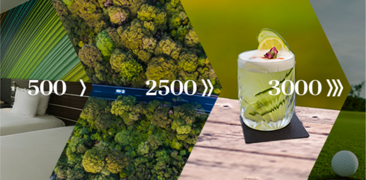 spring-loyalty-boost-2