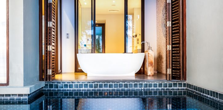 pool-villa-bathtub-and-pool-2023-2