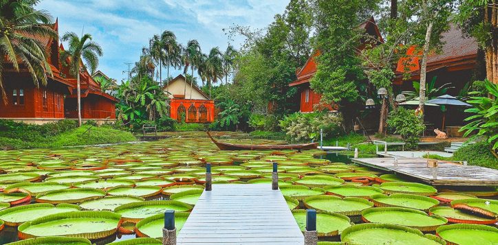 ma-doo-bua-cafe-ameer-2