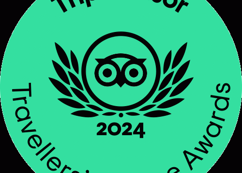 tc_green_winner-gif_ll_2024-2