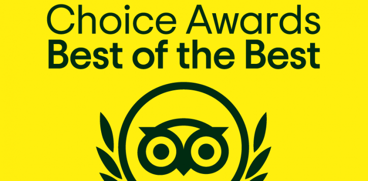 tcbr_botb_mustard_bf_logo_ll_2025_rgb-2