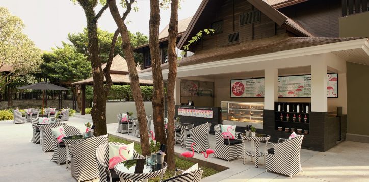 bowls-and-more-ori-2